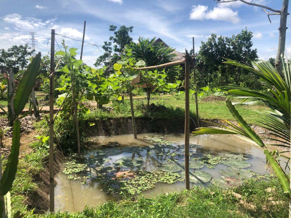 Mekong Daniel Homestay Can Tho Bagian luar foto