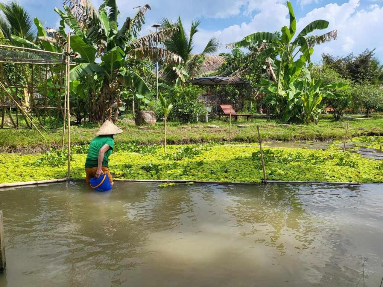 Mekong Daniel Homestay Can Tho Bagian luar foto